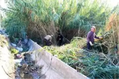 Kumluca ve Finike'de kış hazırlığı Kumluca ve Finike'de kış hazırlığı
