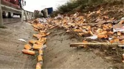 Kuzey Marmara Otoyolu'nda kamyon devrildi: 1 yaralı Kuzey Marmara Otoyolu'nda kamyon devrildi: 1 yaralı