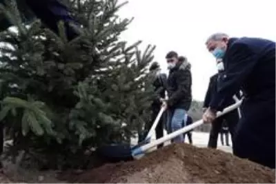 Milli Savunma Bakanı Akar gaziler ile birlikte fidan dikti Milli Savunma Bakanı Akar gaziler ile birlikte fidan dikti