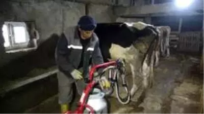 Son dakika haber! Muş'ta açılan ünitelerle süt değer kazandı Son dakika haber! Muş'ta açılan ünitelerle süt değer kazandı