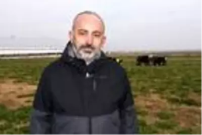 Müteahhitliği bıraktı, hayvan çiftliği kurdu Müteahhitliği bıraktı, hayvan çiftliği kurdu