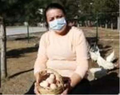 Okul bahçesindeki kümesten sağlanan yumurtalar öğrencilere burs oldu Okul bahçesindeki kümesten sağlanan yumurtalar öğrencilere burs oldu