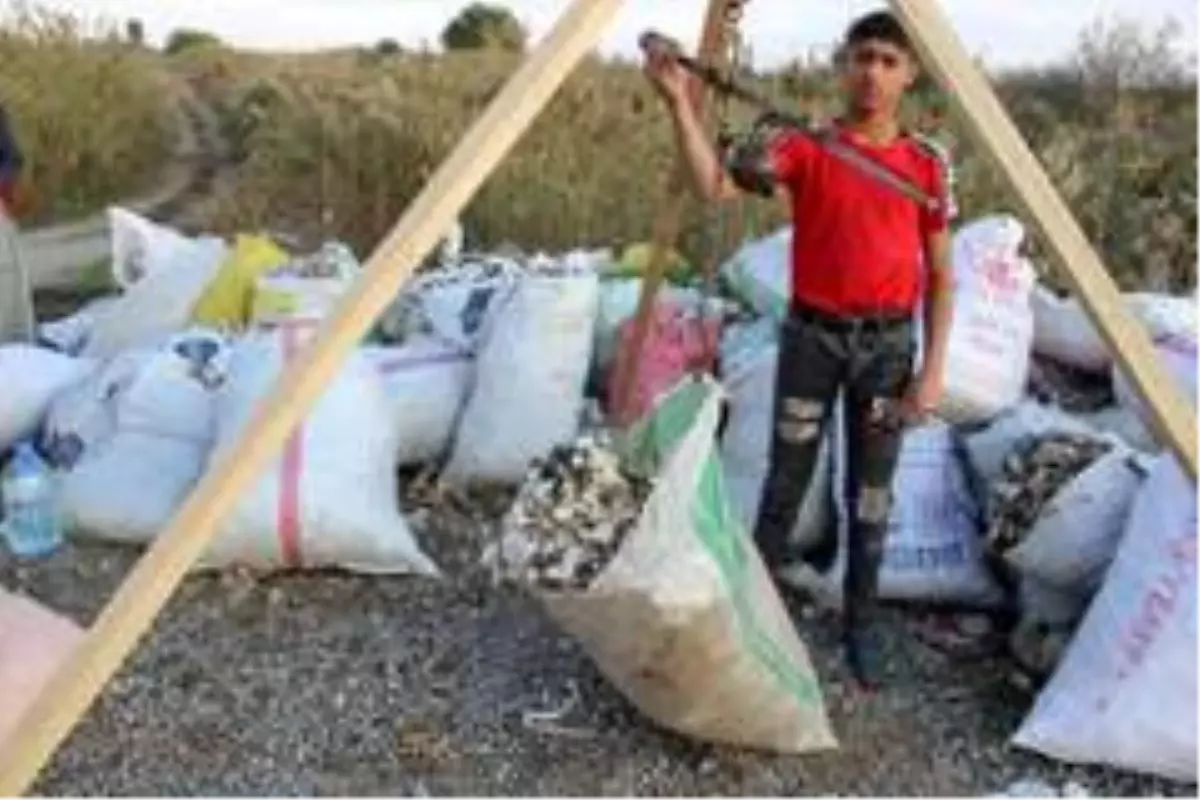 Pamuk kıymete binince, makineden arta kalanlar da toplanmaya başladı