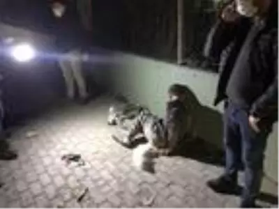 POLİSİN 'DUR' İHTARINA UYMAYAN KAMYONETİN SÜRÜCÜSÜ KAZA YAPTI; KOVALAMACA ANLARI KAMERADA POLİSİN 'DUR' İHTARINA UYMAYAN KAMYONETİN SÜRÜCÜSÜ KAZA YAPTI; KOVALAMACA ANLARI KAMERADA