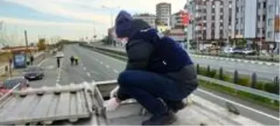 Rize'de 10 ton hamsiye el konuldu Rize'de 10 ton hamsiye el konuldu