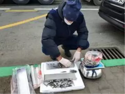 Rize'de 10 ton hamsiye el konuldu Rize'de 10 ton hamsiye el konuldu