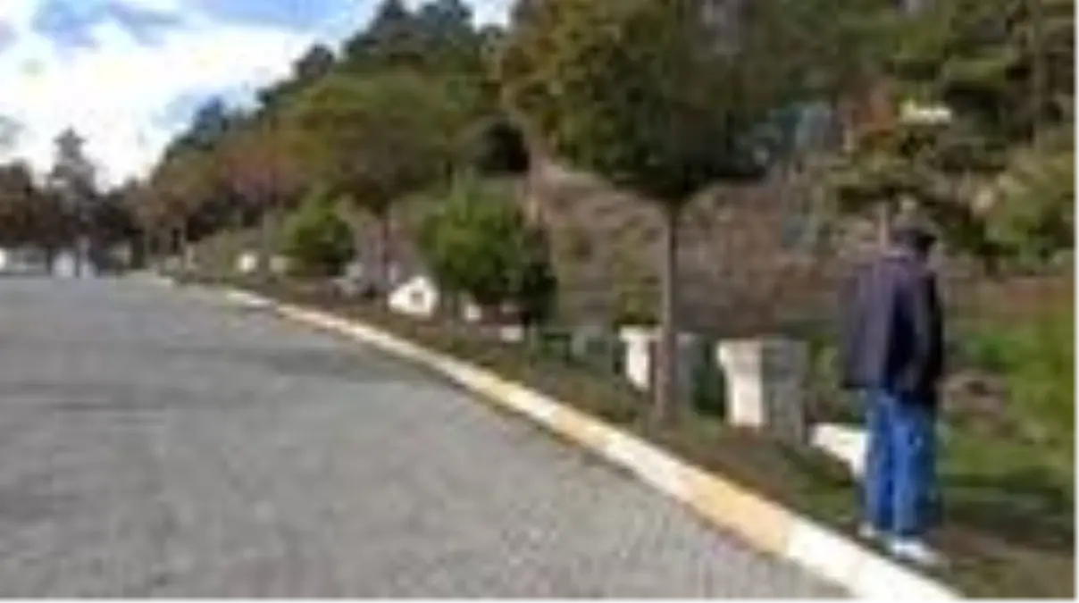 Roma döneminden kalma sütun parçası ve taşlar taşınmayı bekliyor