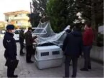 Son dakika haberleri! Sakarya'da yakalanan vahşi kedi Kocaeli'de karantinaya alındı Son dakika haberleri! Sakarya'da yakalanan vahşi kedi Kocaeli'de karantinaya alındı