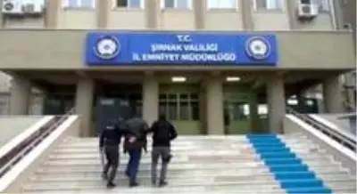 Son dakika haberi | Şırnak'ta terör örgütü PKK/KCK operasyonu: 20 gözaltı Son dakika haberi | Şırnak'ta terör örgütü PKK/KCK operasyonu: 20 gözaltı