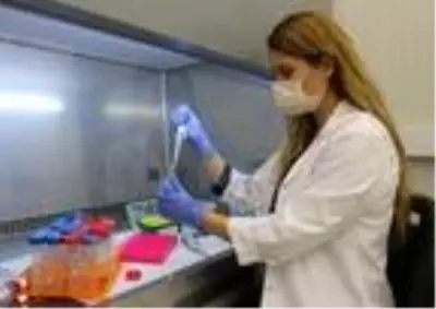 Tarım işçisi arılara, seralara girmeden PCR testi Tarım işçisi arılara, seralara girmeden PCR testi