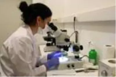 Tarım işçisi arılara, seralara girmeden PCR testi Tarım işçisi arılara, seralara girmeden PCR testi