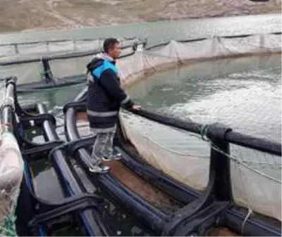 Tarım ve Orman Bakanlığından su ürünleri desteği Tarım ve Orman Bakanlığından su ürünleri desteği