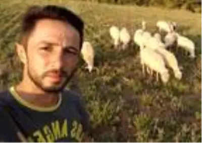Son Dakika | Tüfekle otomobilden ateş açılan Kangal çoban köpeği, 42 saçmayla yaralandı Son Dakika | Tüfekle otomobilden ateş açılan Kangal çoban köpeği, 42 saçmayla yaralandı