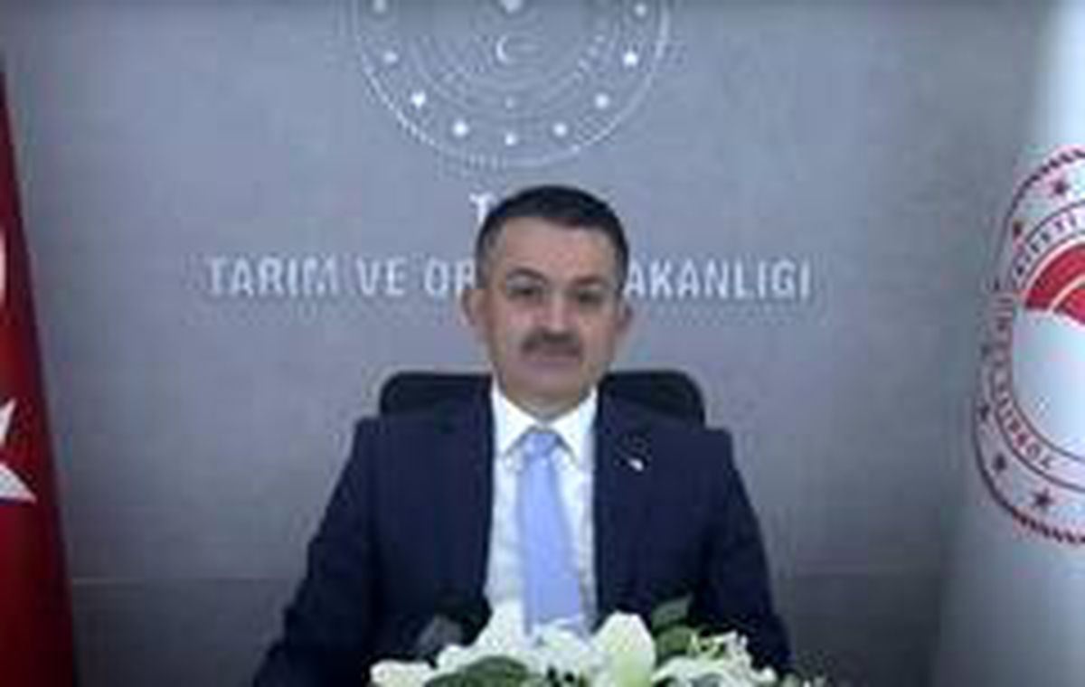 Bakan Pakdemirli: Balon balığı avcılığını destekleme kapsamına aldık