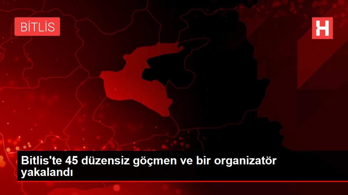 Bitlis'te 45 düzensiz göçmen ve bir organizatör yakalandı Bitlis'te 45 düzensiz göçmen ve bir organizatör yakalandı