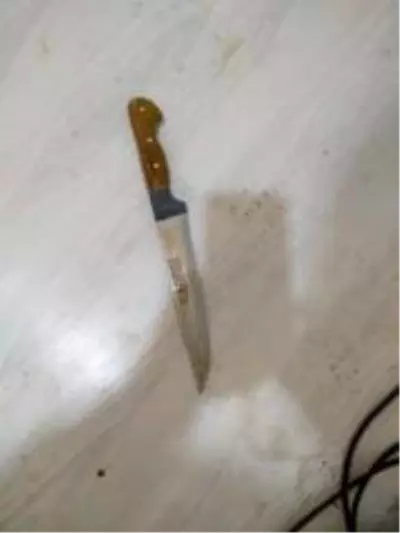 Bursa'da kardeşinin birlikte yaşadığı kadını öldüren sanığa 25 yıl hapis cezası Bursa'da kardeşinin birlikte yaşadığı kadını öldüren sanığa 25 yıl hapis cezası