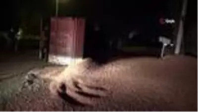 Düzce'de fındık yüklü tır devrildi, yol fındık tarlasına döndü Düzce'de fındık yüklü tır devrildi, yol fındık tarlasına döndü