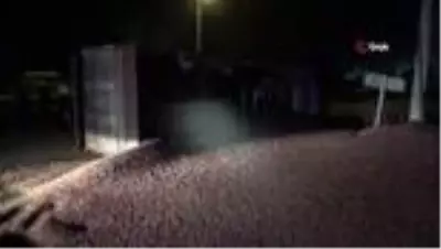 Düzce'de fındık yüklü tır devrildi, yol fındık tarlasına döndü Düzce'de fındık yüklü tır devrildi, yol fındık tarlasına döndü