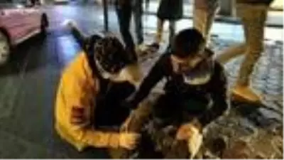 Ehliyetsiz sürücünün çarptığı yaralı bisikletli gözyaşlarına boğuldu Ehliyetsiz sürücünün çarptığı yaralı bisikletli gözyaşlarına boğuldu