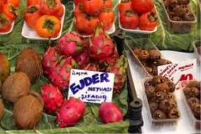 Ejder meyvesi sezonu kapattı Ejder meyvesi sezonu kapattı