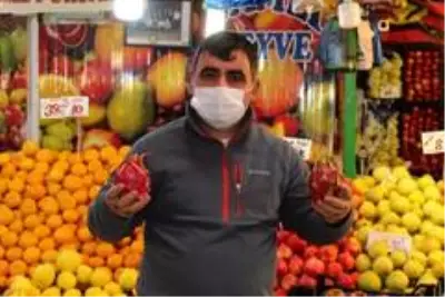 Ejder meyvesi sezonu kapattı Ejder meyvesi sezonu kapattı