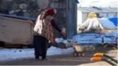 Evinin önüne gelen 'Yonca' ismini verdiği tilkiyi 4 aydır besliyor Evinin önüne gelen 'Yonca' ismini verdiği tilkiyi 4 aydır besliyor