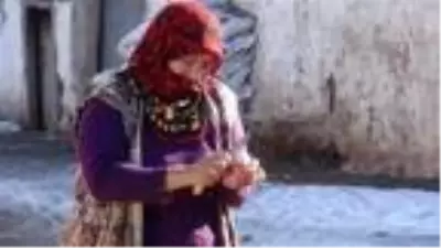 Evinin önüne gelen 'Yonca' ismini verdiği tilkiyi 4 aydır besliyor Evinin önüne gelen 'Yonca' ismini verdiği tilkiyi 4 aydır besliyor
