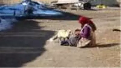 Evinin önüne gelen 'Yonca' ismini verdiği tilkiyi 4 aydır besliyor Evinin önüne gelen 'Yonca' ismini verdiği tilkiyi 4 aydır besliyor