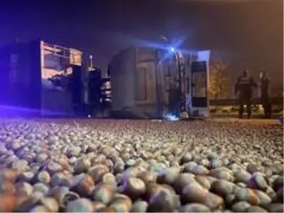 Düzce'de fındık yüklü tır devrildi, yol fındık tarlasına döndü Düzce'de fındık yüklü tır devrildi, yol fındık tarlasına döndü