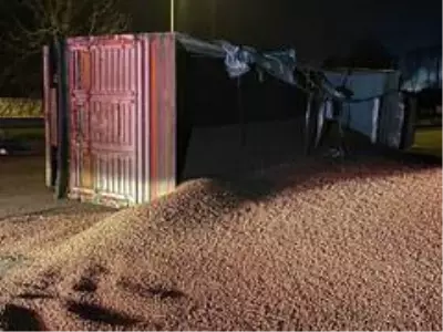 Düzce'de fındık yüklü tır devrildi, yol fındık tarlasına döndü Düzce'de fındık yüklü tır devrildi, yol fındık tarlasına döndü