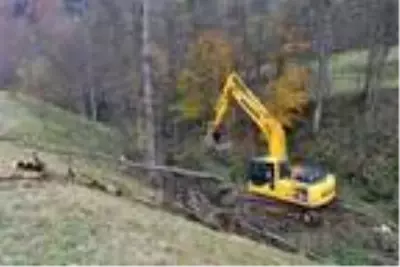 İş makinesinin devirdiği ağacın altında kalıp, öldü İş makinesinin devirdiği ağacın altında kalıp, öldü