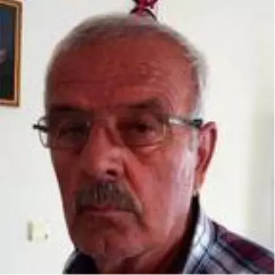 İş makinesinin devirdiği ağacın altında kalıp, öldü İş makinesinin devirdiği ağacın altında kalıp, öldü