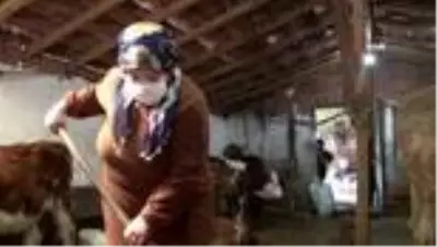 - İŞKUR'un engellilere desteğiyle hayvan aldı, hayata tutundu - İŞKUR'un engellilere desteğiyle hayvan aldı, hayata tutundu