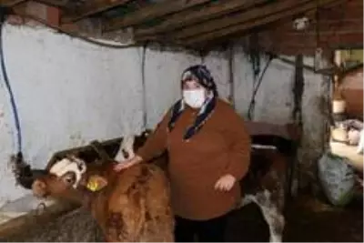 - İŞKUR'un engellilere desteğiyle hayvan aldı, hayata tutundu - İŞKUR'un engellilere desteğiyle hayvan aldı, hayata tutundu