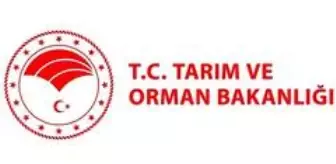 Ankara: İslam Gıda Güvenliği Teşkilatı Genel Kurulu, Türkiye'nin ev sahipliğinde yapılacak Ankara: İslam Gıda Güvenliği Teşkilatı Genel Kurulu, Türkiye'nin ev sahipliğinde yapılacak