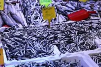 Karadeniz hamsisi 8 TL'ye düştü Karadeniz hamsisi 8 TL'ye düştü