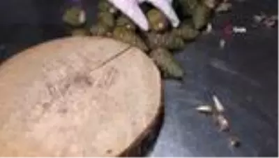 Koronavirüs'e karşı 'kozalak reçeli' Koronavirüs'e karşı 'kozalak reçeli'
