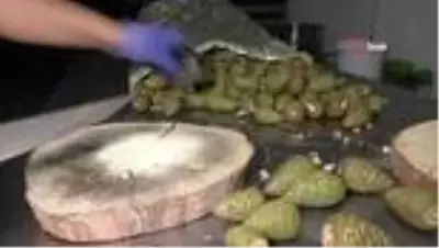 Koronavirüs'e karşı 'kozalak reçeli' Koronavirüs'e karşı 'kozalak reçeli'