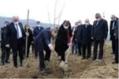 Samsun'da çiftçilere 37 bin meyve fidanı dağıtımına başlandı Samsun'da çiftçilere 37 bin meyve fidanı dağıtımına başlandı