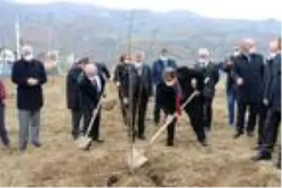 Samsun'da çiftçilere 37 bin meyve fidanı dağıtımına başlandı Samsun'da çiftçilere 37 bin meyve fidanı dağıtımına başlandı