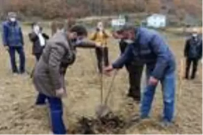 Samsun'da çiftçilere 37 bin meyve fidanı dağıtımına başlandı Samsun'da çiftçilere 37 bin meyve fidanı dağıtımına başlandı
