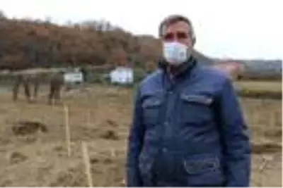 Samsun'da çiftçilere 37 bin meyve fidanı dağıtımına başlandı Samsun'da çiftçilere 37 bin meyve fidanı dağıtımına başlandı