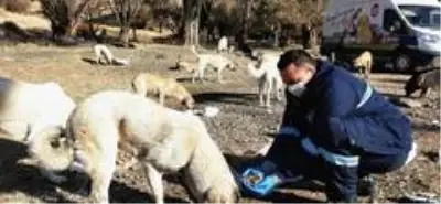Sincan'da korona virüs tedbirleri Sincan'da korona virüs tedbirleri