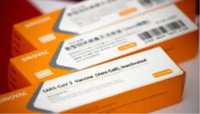 Sinovac aşısı: CoronaVac hakkında neler biliniyor? Sinovac aşısı: CoronaVac hakkında neler biliniyor?