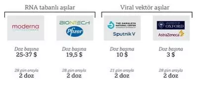 Sinovac aşısı: CoronaVac hakkında neler biliniyor? Sinovac aşısı: CoronaVac hakkında neler biliniyor?