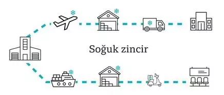Sinovac aşısı: CoronaVac hakkında neler biliniyor? Sinovac aşısı: CoronaVac hakkında neler biliniyor?