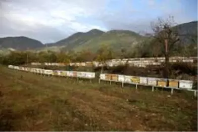 TAB Başkanı Şahin'den 'arı ürünleri uyarısı' TAB Başkanı Şahin'den 'arı ürünleri uyarısı'