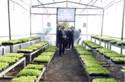 Tarsus Belediyesi, geri dönüşüm malzemelerinden 4 adet sera kurdu Tarsus Belediyesi, geri dönüşüm malzemelerinden 4 adet sera kurdu
