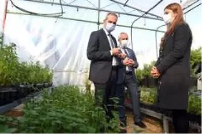 Tarsus Belediyesi, geri dönüşüm malzemelerinden 4 adet sera kurdu Tarsus Belediyesi, geri dönüşüm malzemelerinden 4 adet sera kurdu