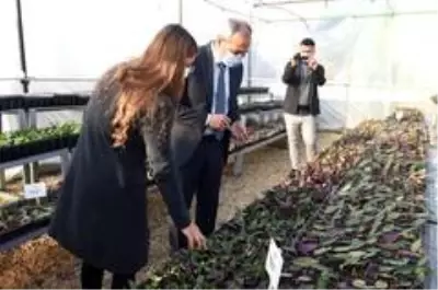 Tarsus Belediyesi, geri dönüşüm malzemelerinden 4 adet sera kurdu Tarsus Belediyesi, geri dönüşüm malzemelerinden 4 adet sera kurdu